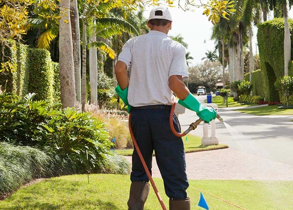 About Dayton PA Pest Control